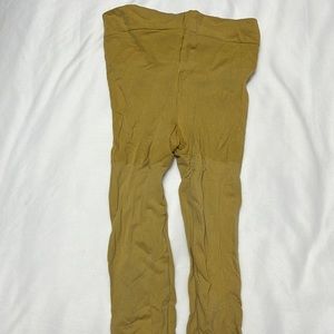 Gold tan tights